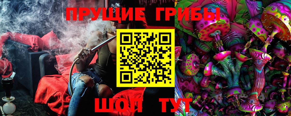 Мичуринск  Псилоцибиновые грибы ЛСД  Вход с VPN  Галлюциногенные грибы ЛСД 