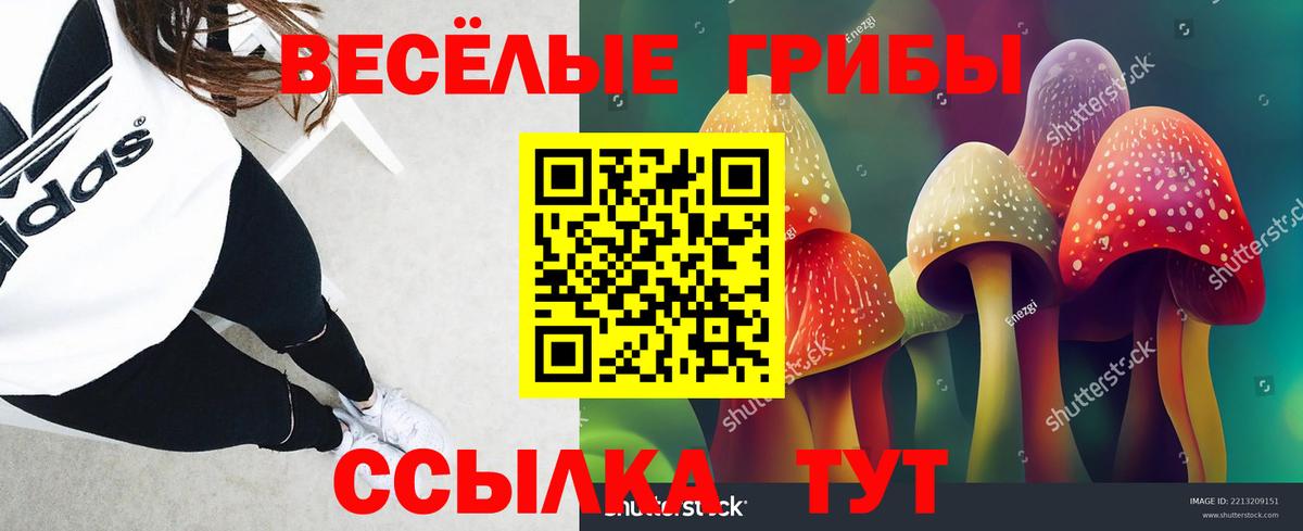 Псилоцибиновые грибы ЛСД Мичуринск